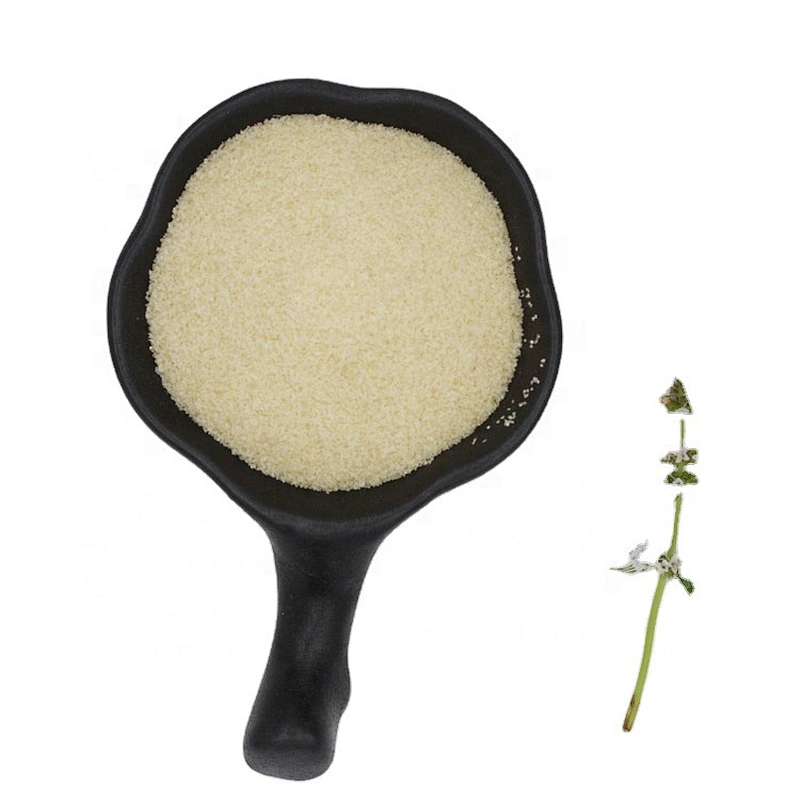 High quality wholesale food grade gelatin manufacturer 140bloom 40mesh with ISO HACCP MUI certificate
